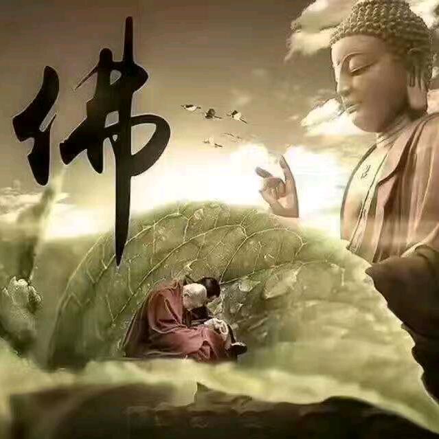 疯子水果店