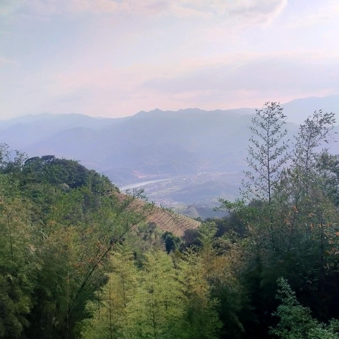 满目星何