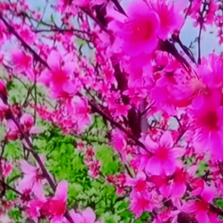 用户3504190827581