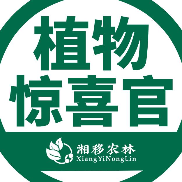 植物惊喜官