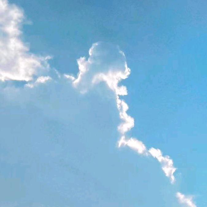 相濡以沫
