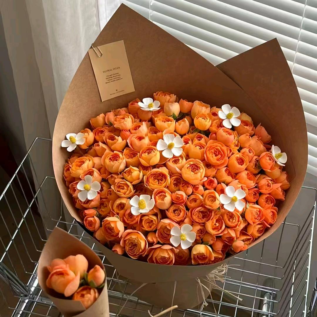 维露斯花卉绿植