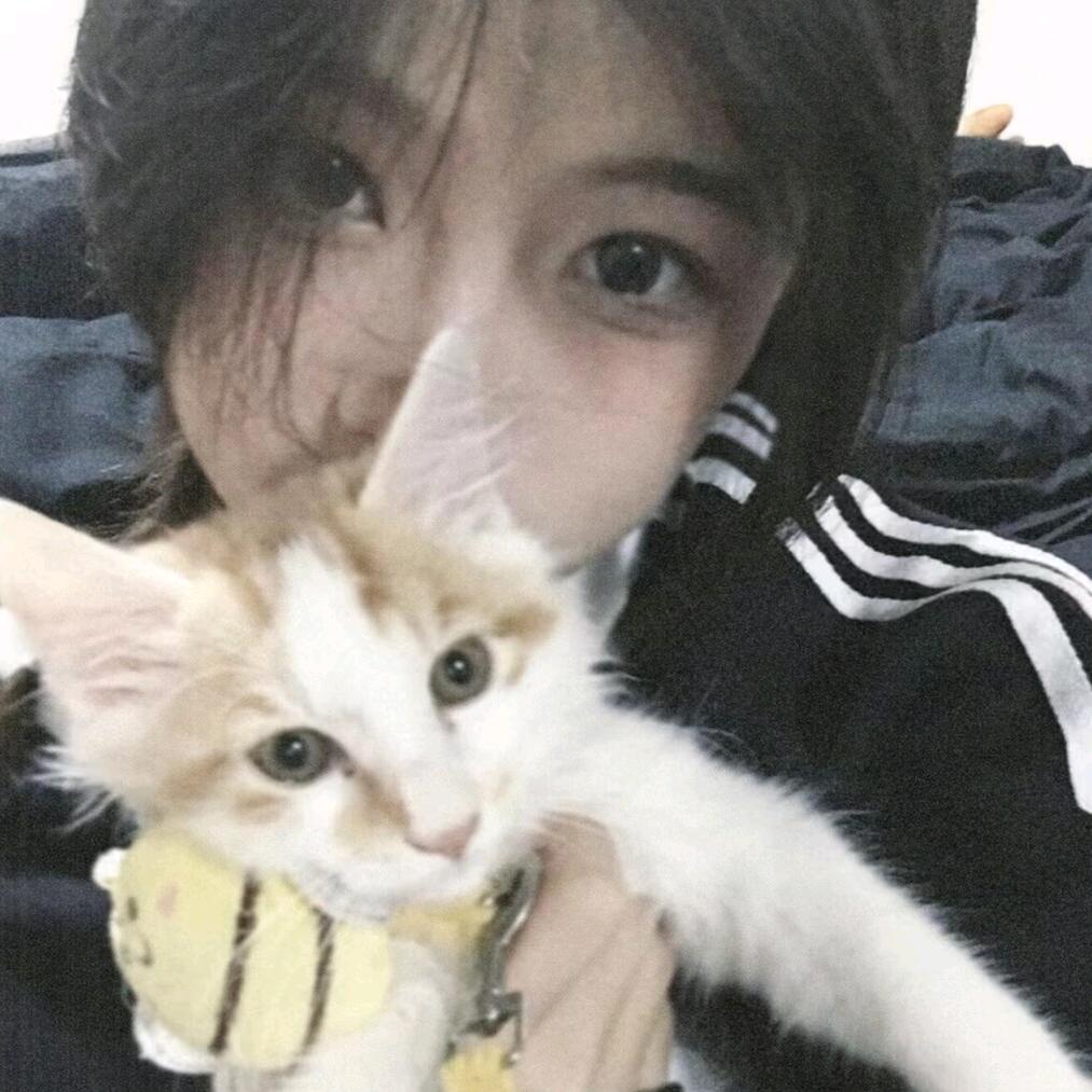 灰太狼爱喜洋洋、