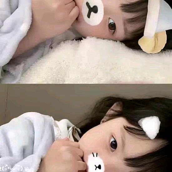 顺李⭐️成张⭐️