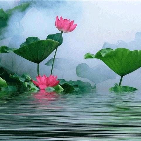美好幸福