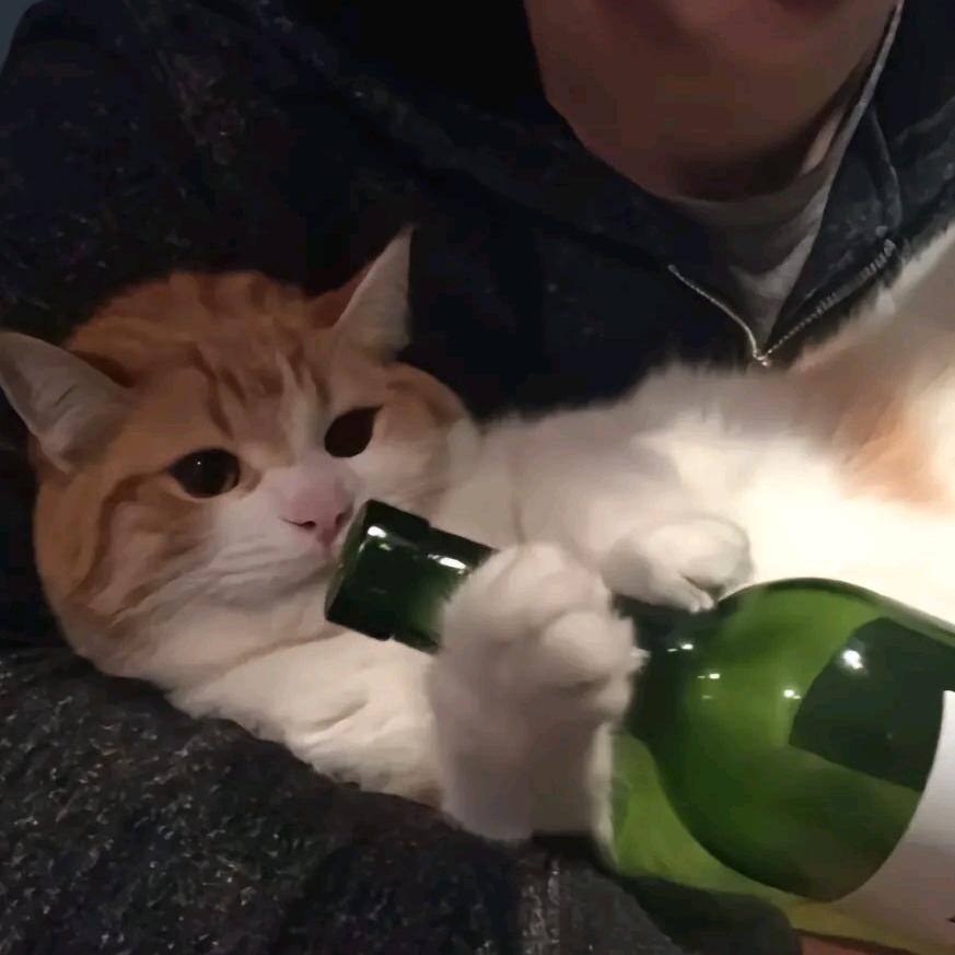 银河诗集