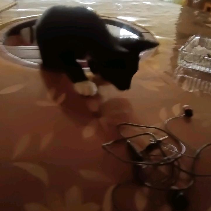 香江超市。丽都店。