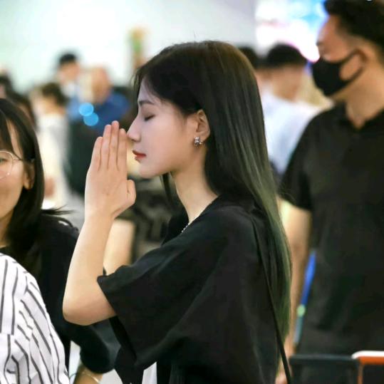 豹豹日收一千六