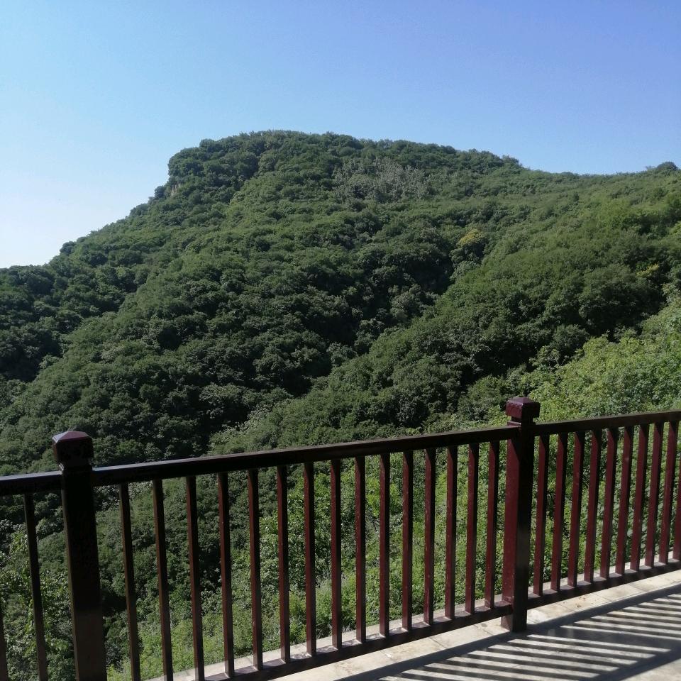 无情无义