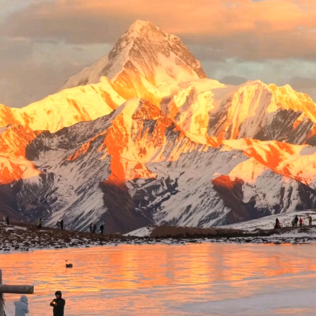 ༺社恐人袁༻¹²¹⁸