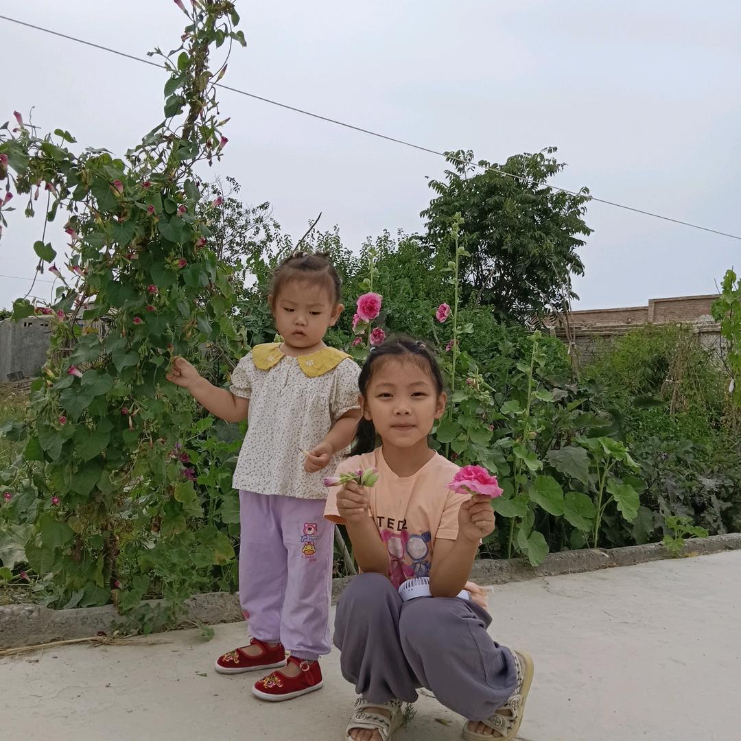 我是梦想🍎🍎