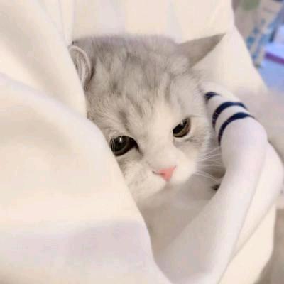 没事想睡觉