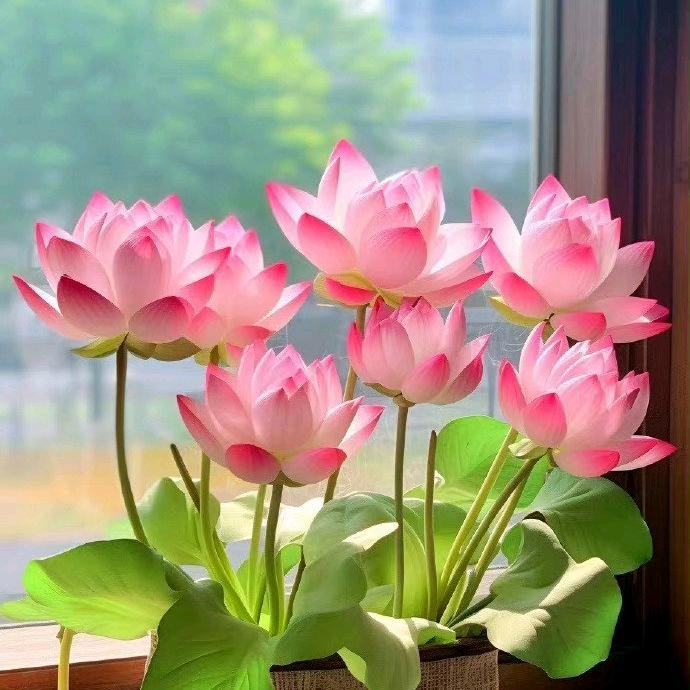 招财一个亿