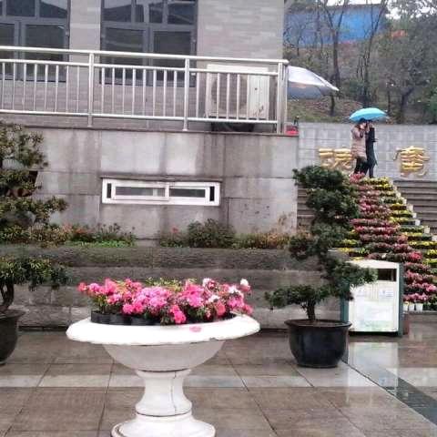 💘封心💘锁爱💞