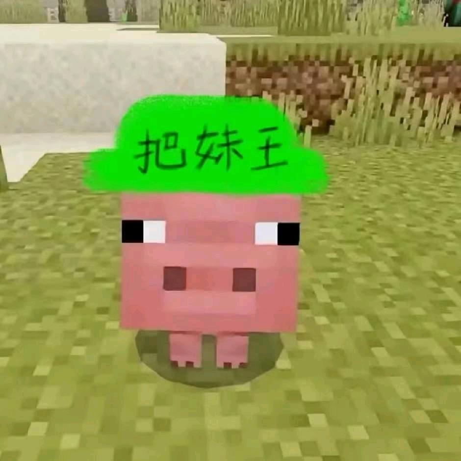 刘佳珂.