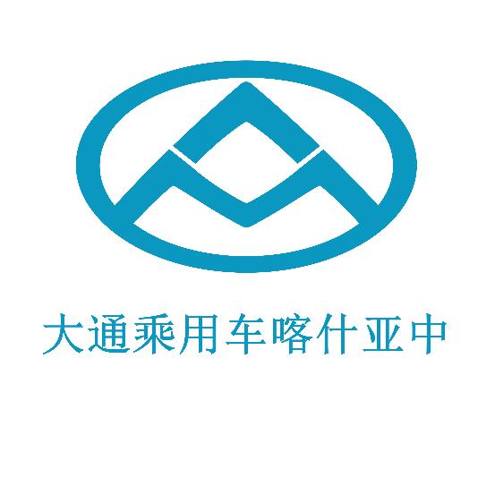 大通乘用车喀什亚中
