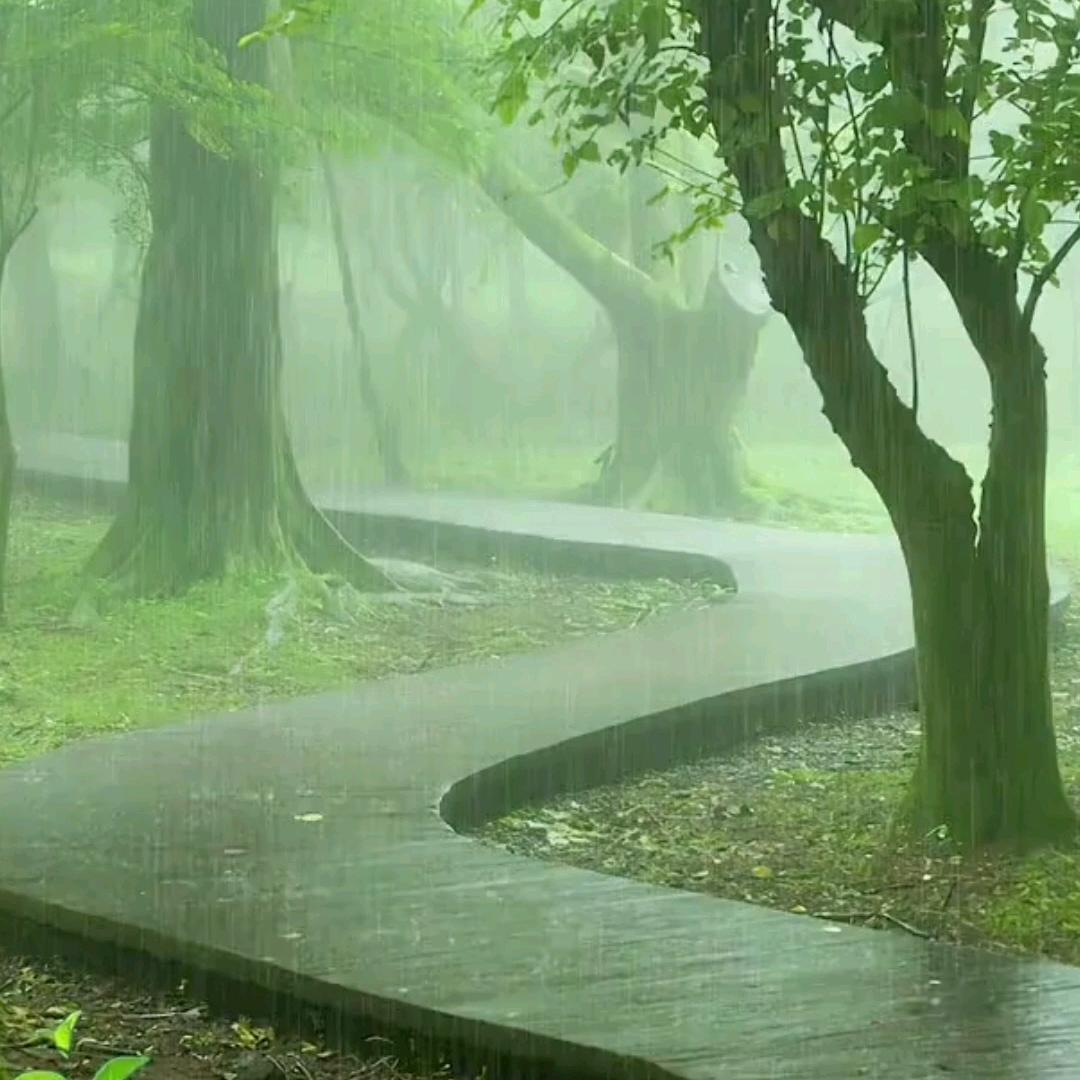 窝窝-K