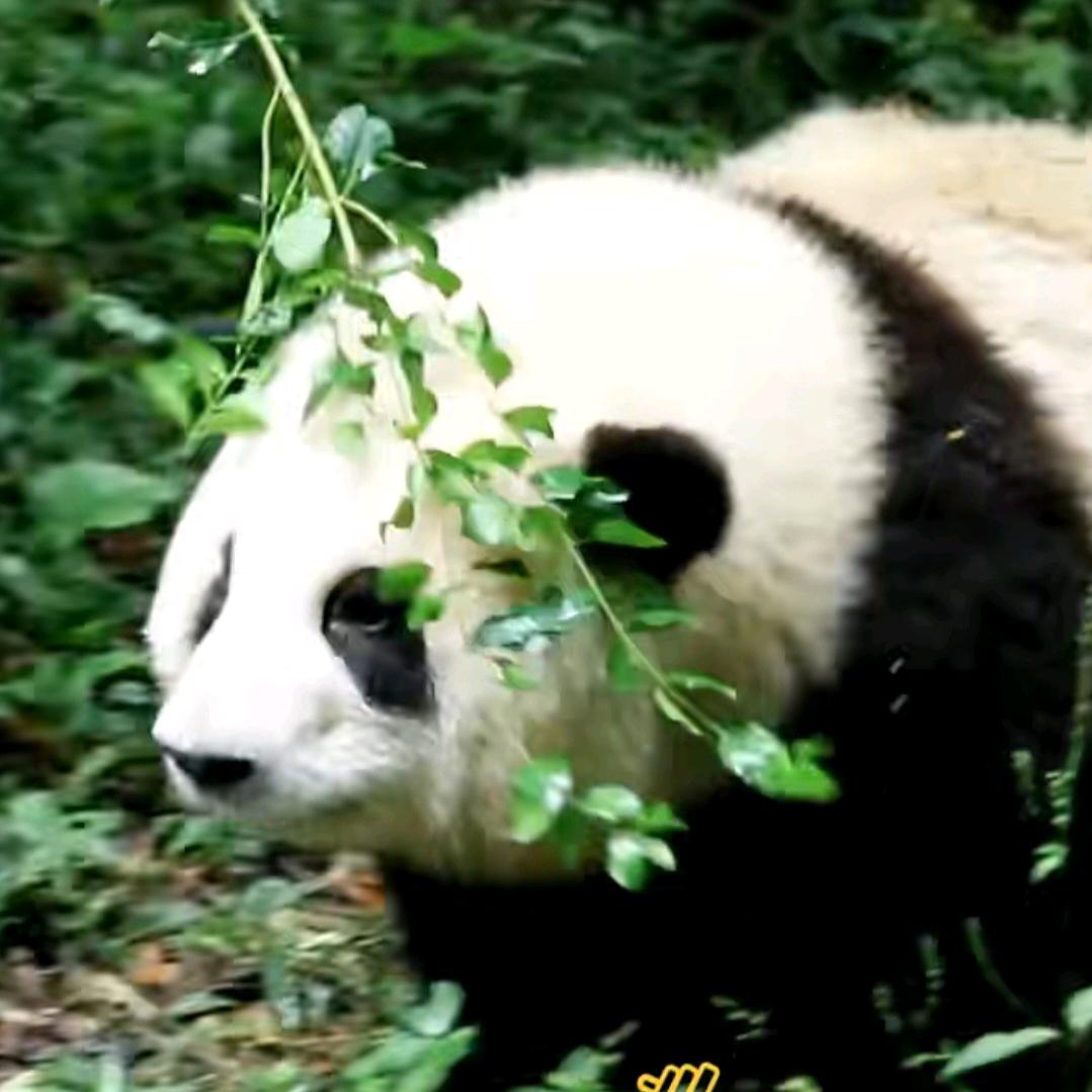 随便点