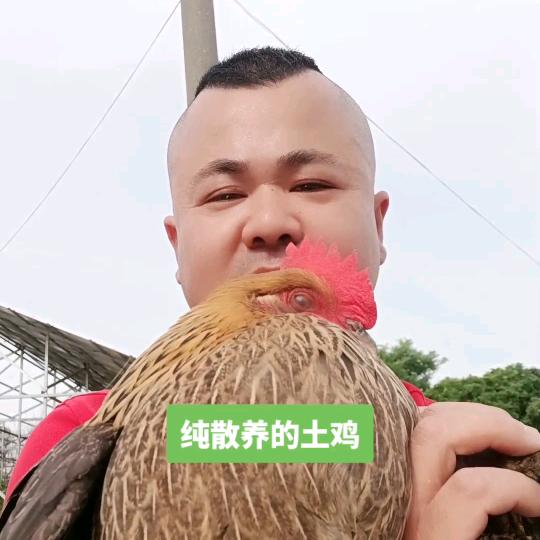 栖霞琻鸡园农产品经营部（个体工商户）