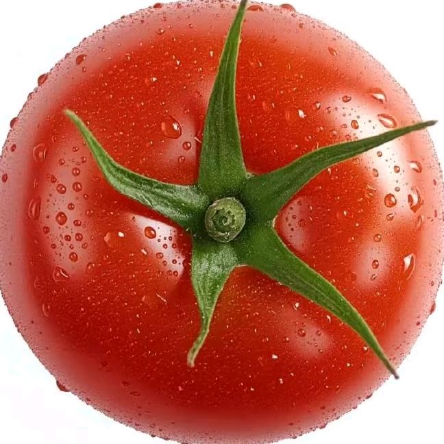啊嘞嘞嘞嘞嘞嘞