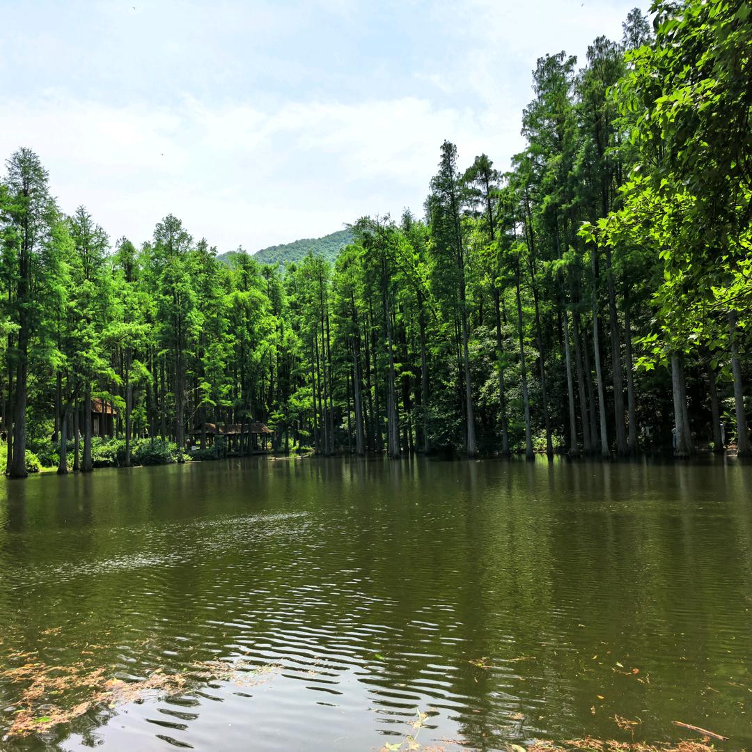 山月小记