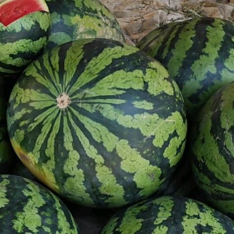 眨眨吃掉大嘴怪