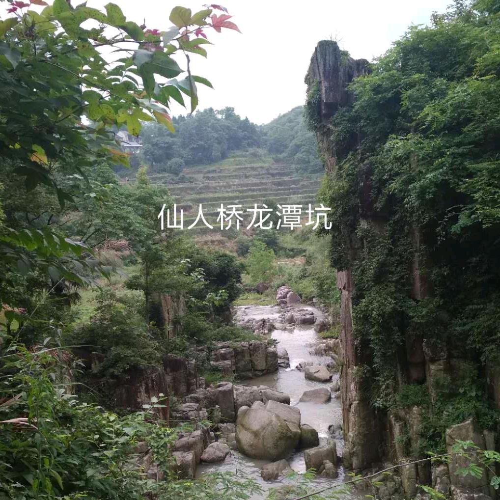 自在仙人桥