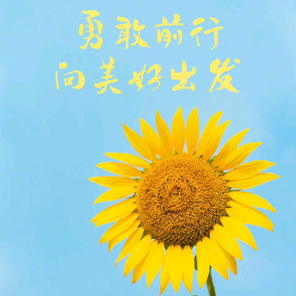 香香姐