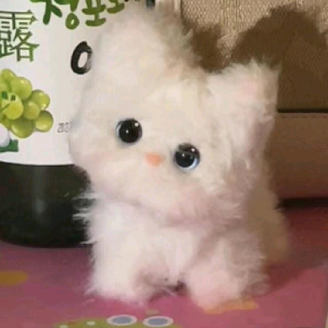 荷雾