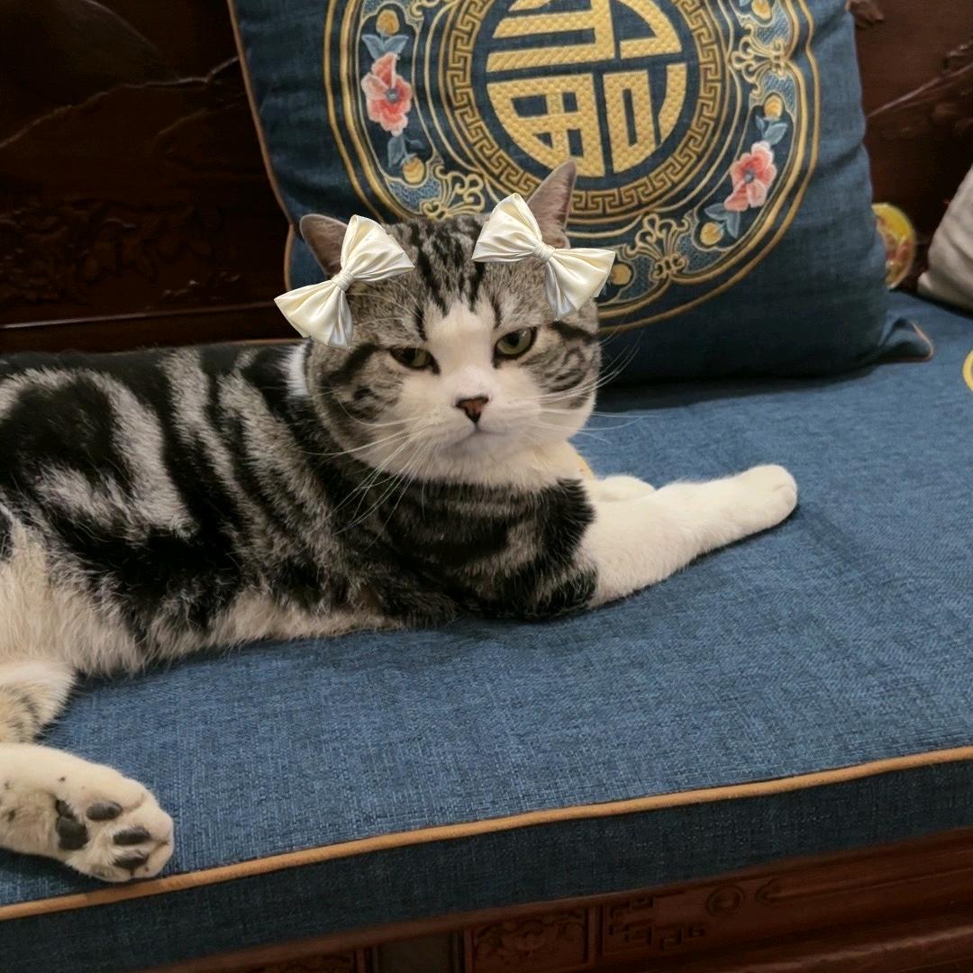 A@水电暖，空气能，一条龙