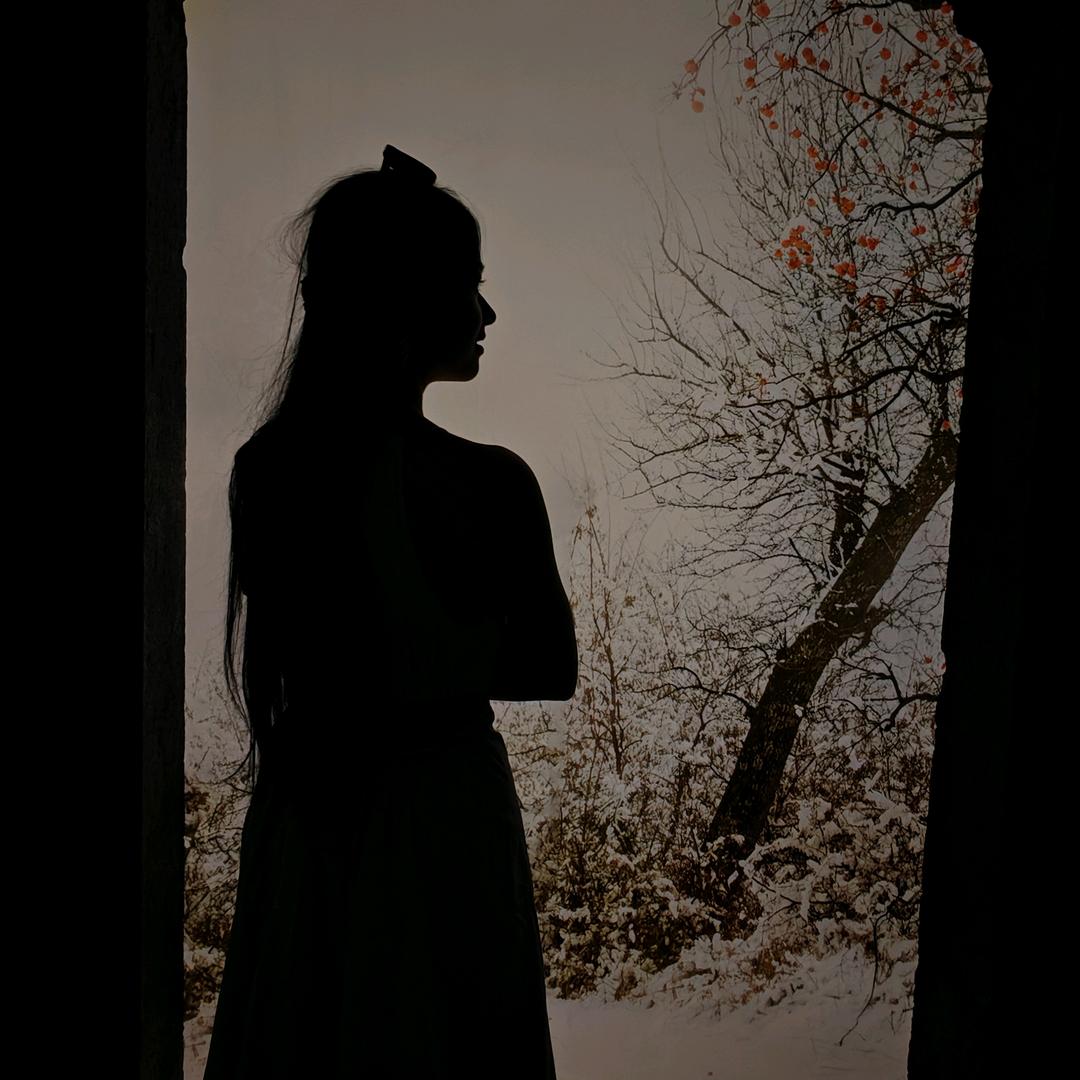 小雏菊的冬天(๑><๑）