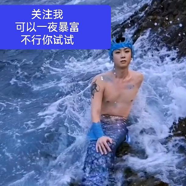 寻找春天的爱