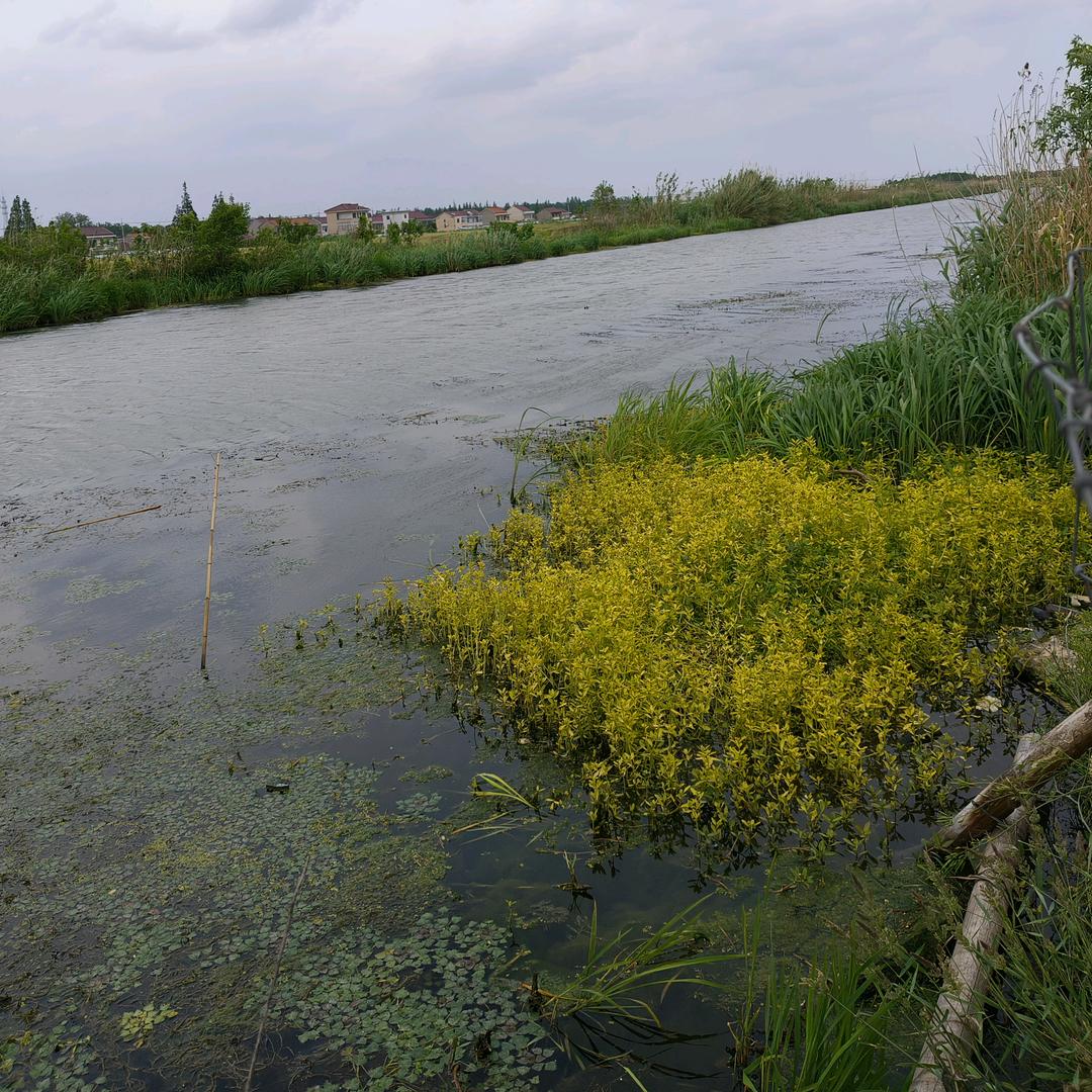 花飞花谢花满天