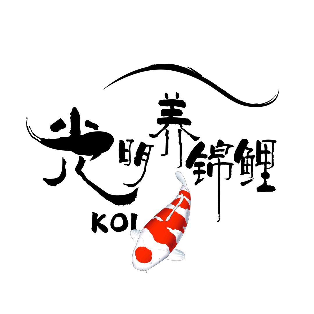光明养锦鲤