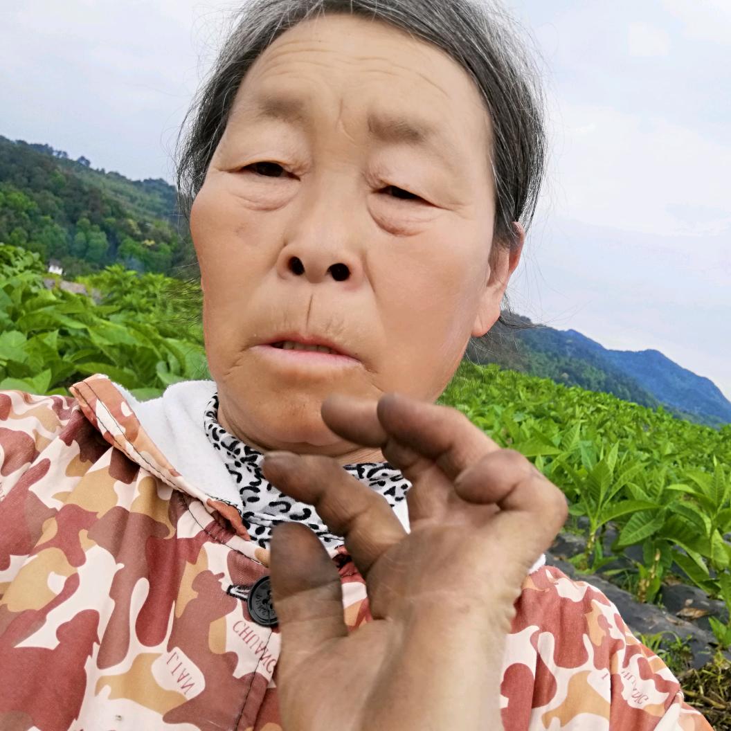 刘婆婆