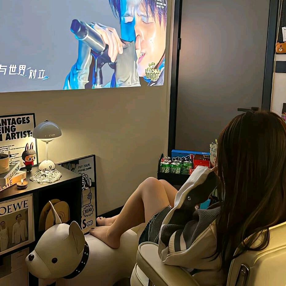 番茄西红柿🍅