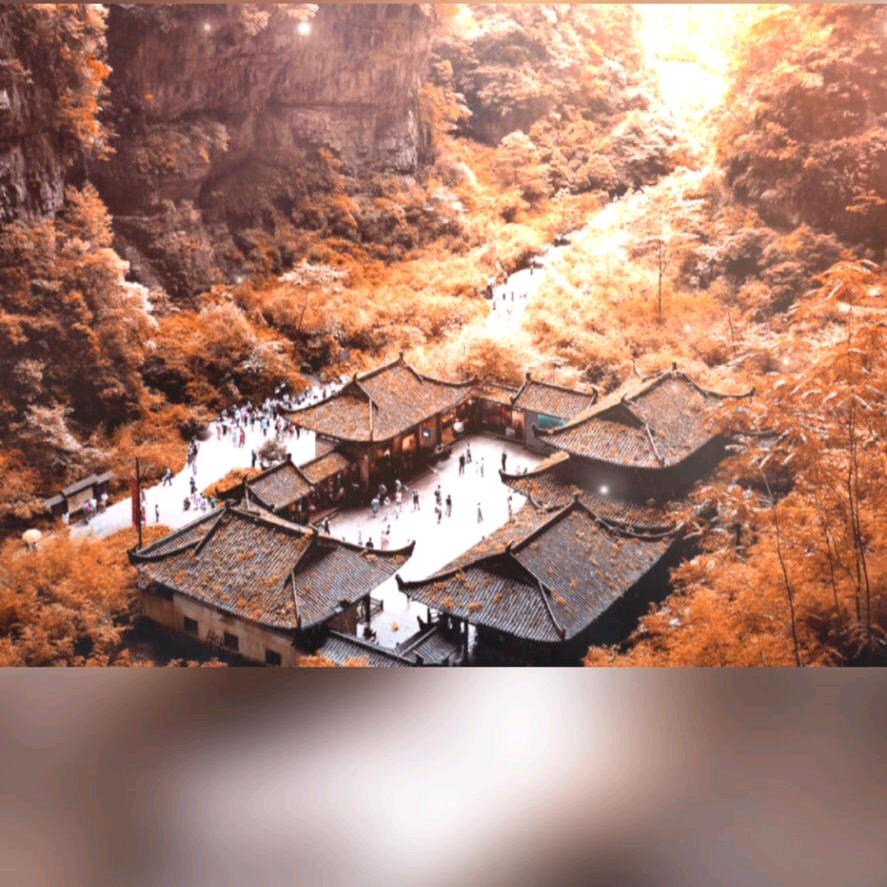 保骉