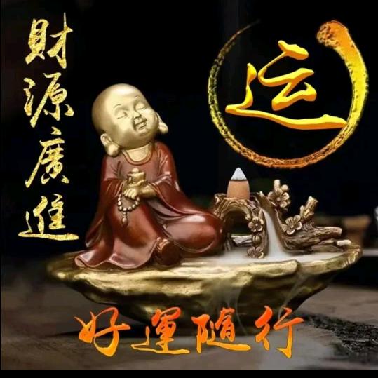 忠顺运通土石方