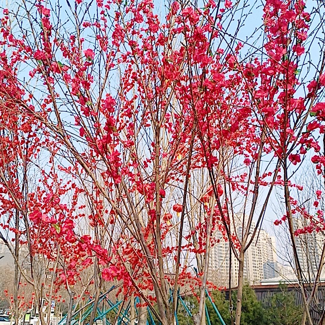 未经他人苦，莫劝他人善