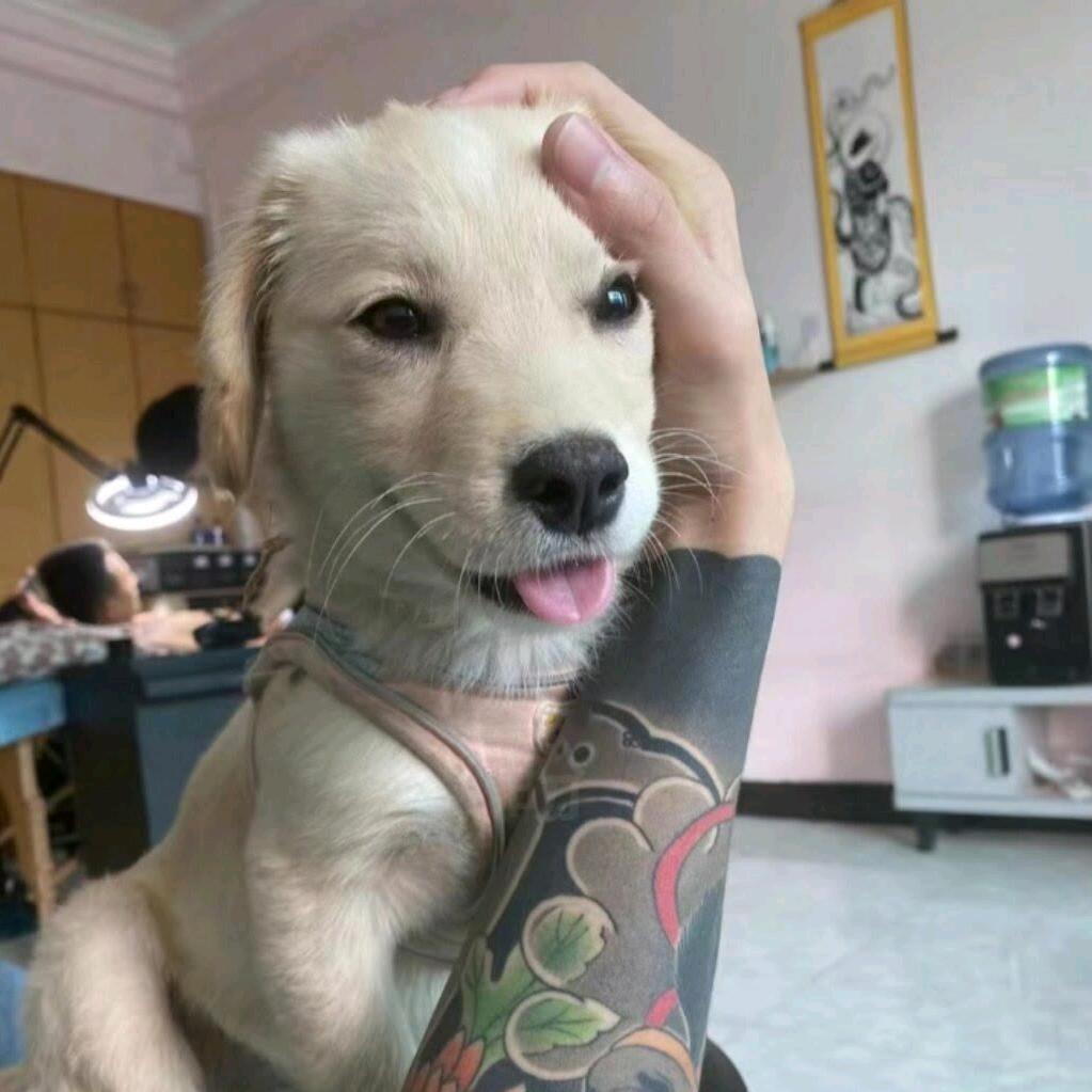 kioo