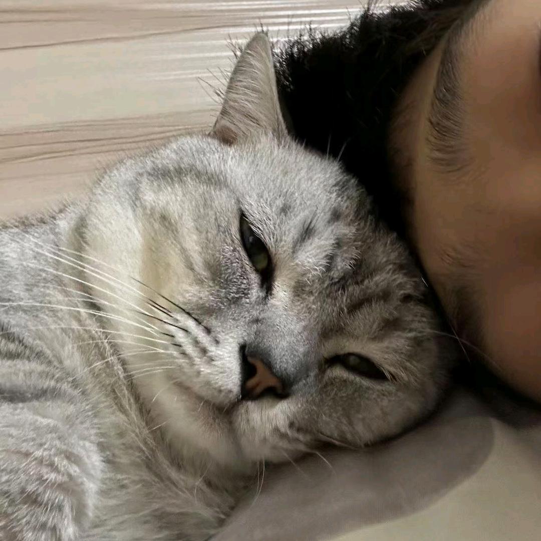 不爱动的阿泡泡