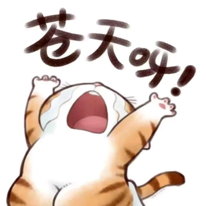 射雕英雄传