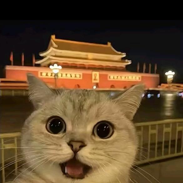 是莫不是漠