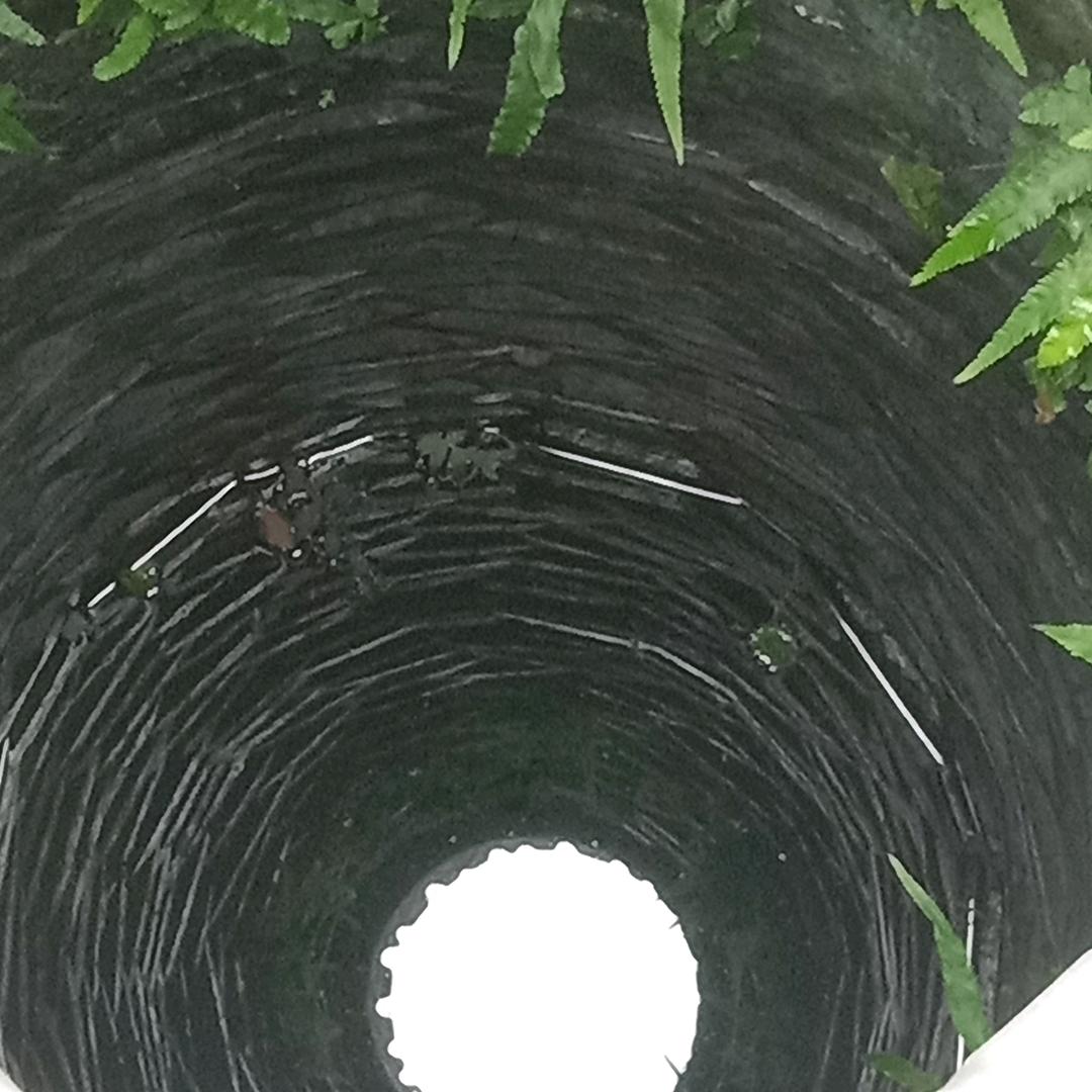 不要问我会不会打PIK