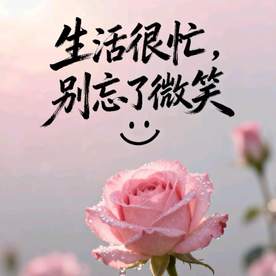 小张张(⁎⁍̴̛ᴗ⁍̴̛⁎)