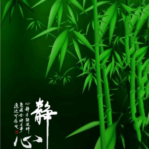 怪自己