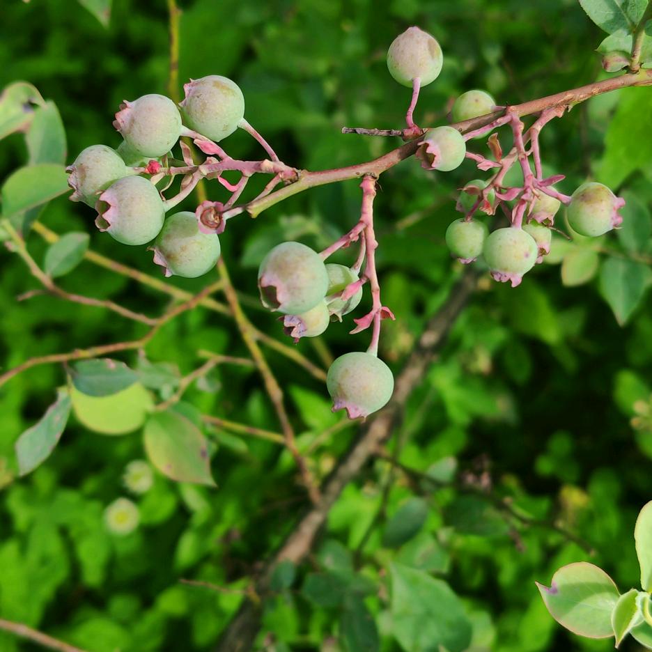 镇雄整装云装饰靓坤