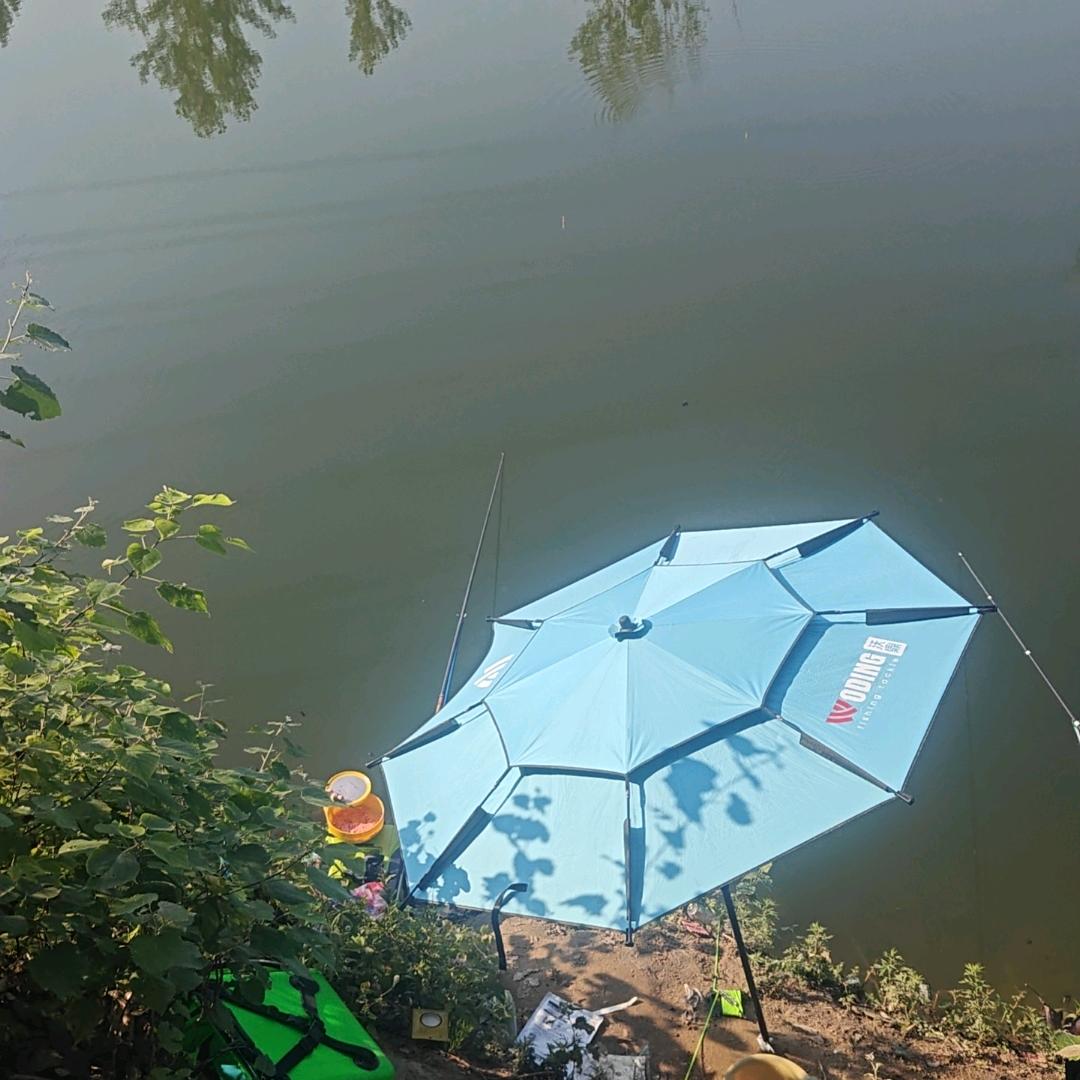 大力爱钓鱼（鲢鳙刺客）