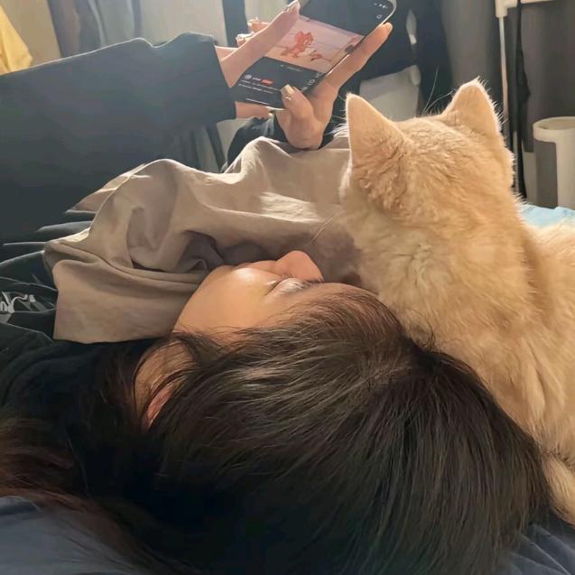 我想再睡十分钟-