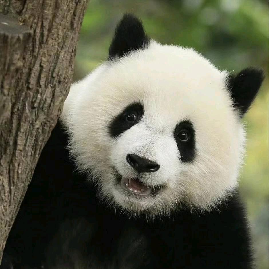 哈哈哈